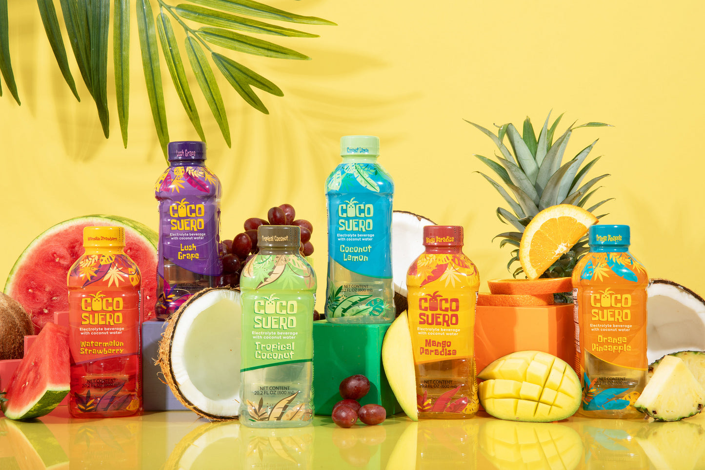 CocoSuero - Electrolyte Coconut Water β 100 Calories, Fat-Free, with B3, B6, B12 for Hydration & Energy β No Artificial Flavors β Six Refreshing Flavors (12-Pack)