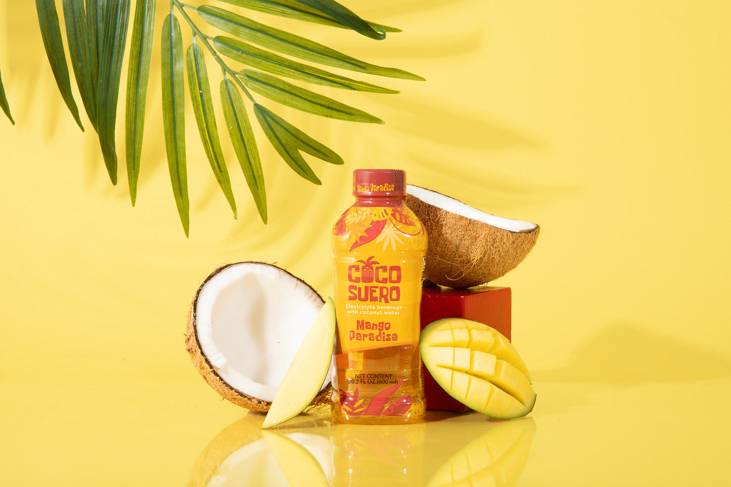 CocoSuero - Electrolyte Coconut Water β 100 Calories, Fat-Free, with B3, B6, B12 for Hydration & Energy β No Artificial Flavors β Six Refreshing Flavors (12-Pack)