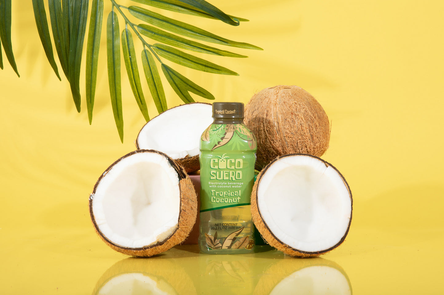CocoSuero - Electrolyte Coconut Water β 100 Calories, Fat-Free, with B3, B6, B12 for Hydration & Energy β No Artificial Flavors β Six Refreshing Flavors (12-Pack)