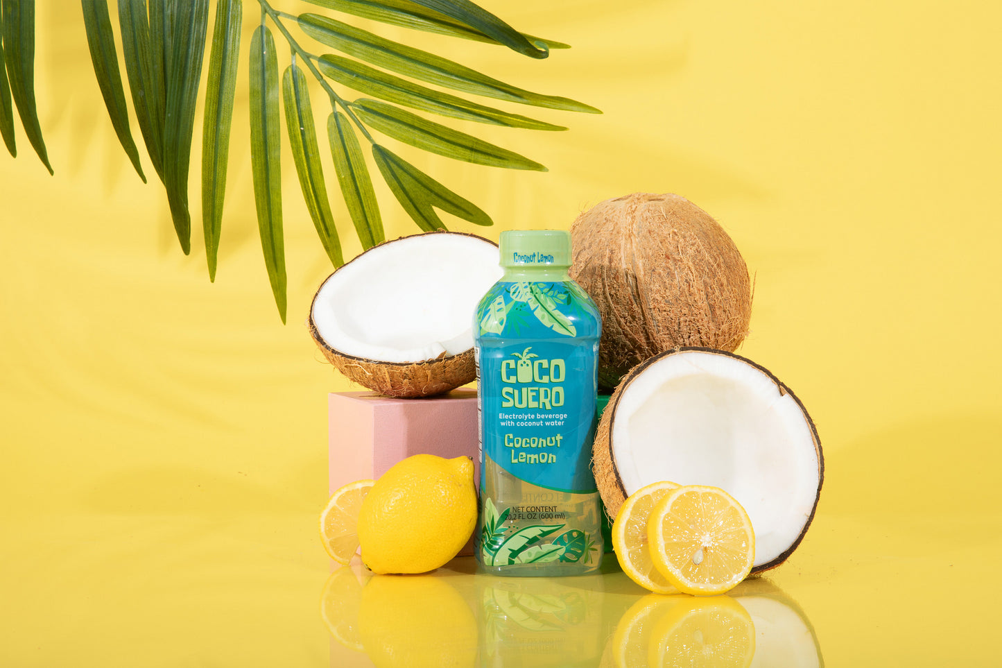 CocoSuero - Electrolyte Coconut Water – 100 Calories, Fat-Free, with B3, B6, B12 for Hydration & Energy – No Artificial Flavors – Six Refreshing Flavors (12-Pack)